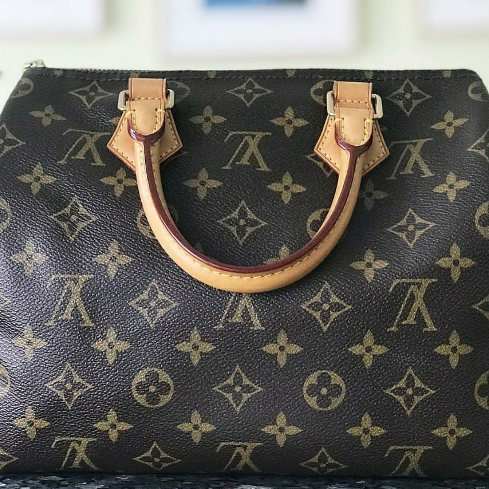 Louis Vuitton Speedy 25